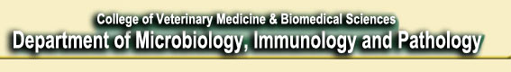College of Veterinary Medicine and Biomedical Sciences link