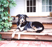 Gunnar Maffey