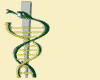 College of Veterinary Medicine and Biomedical Sciences logo