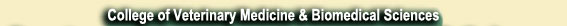 College of Veterinary Medicine and Biomedical Sciences Link