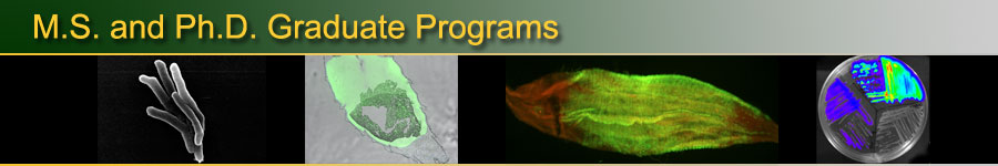 MIP Graduate Programs
