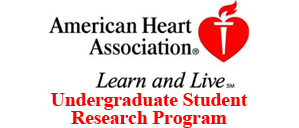 American Heart Association Medical Research Program