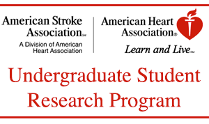 American Heart Association Research Awards