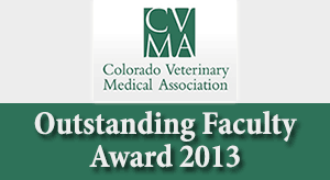 CVMA Outstanding Faculty Award 2013