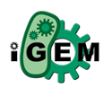 iGem logo