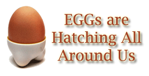 Imaging EGG to be Hatched