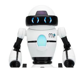 MIP Robot