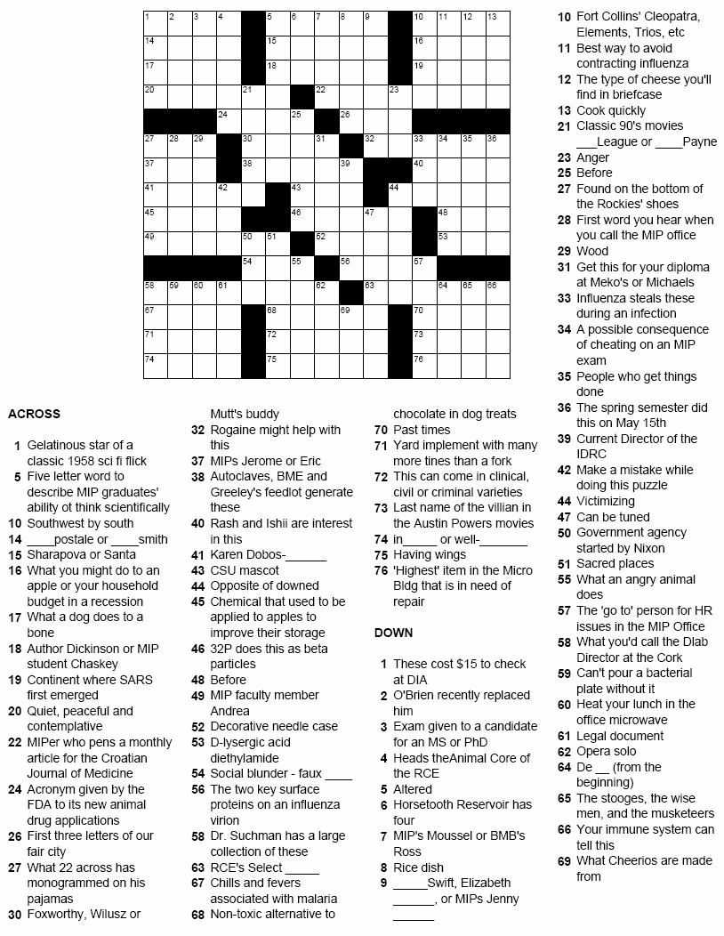MIPuzzle 43