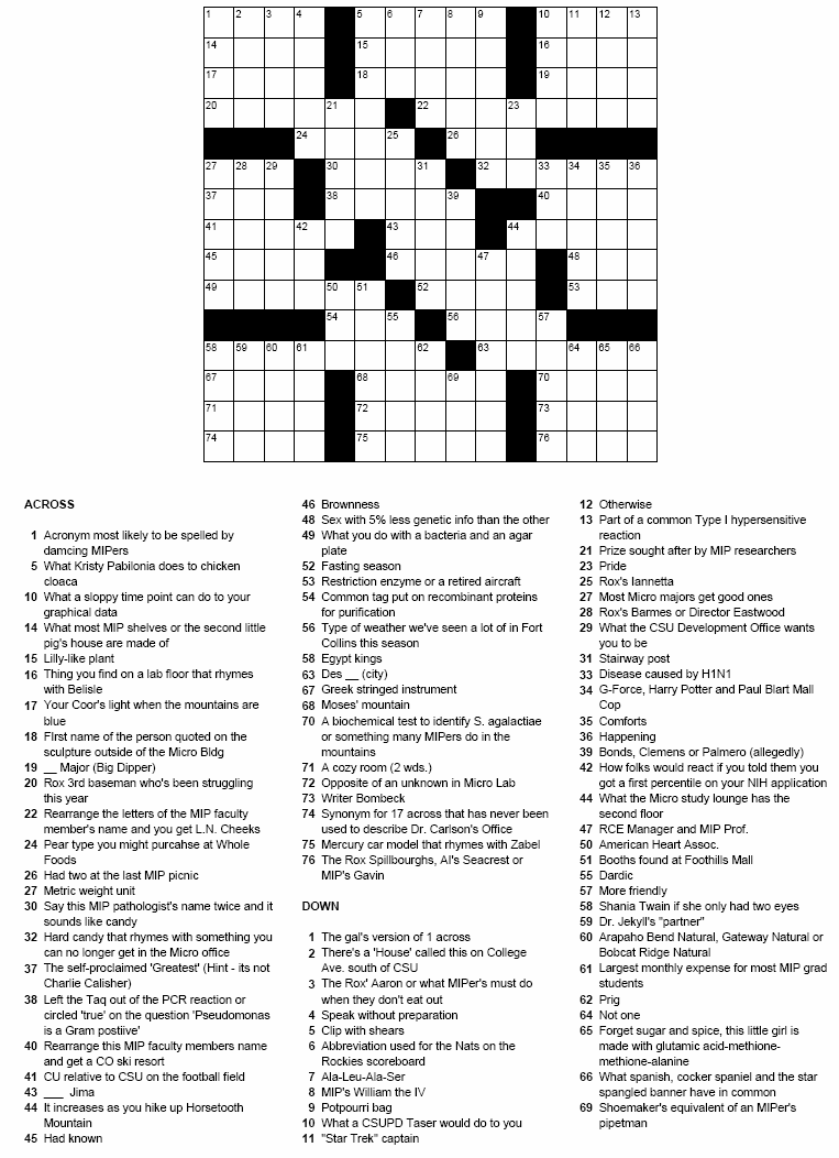 MIPuzzle 45