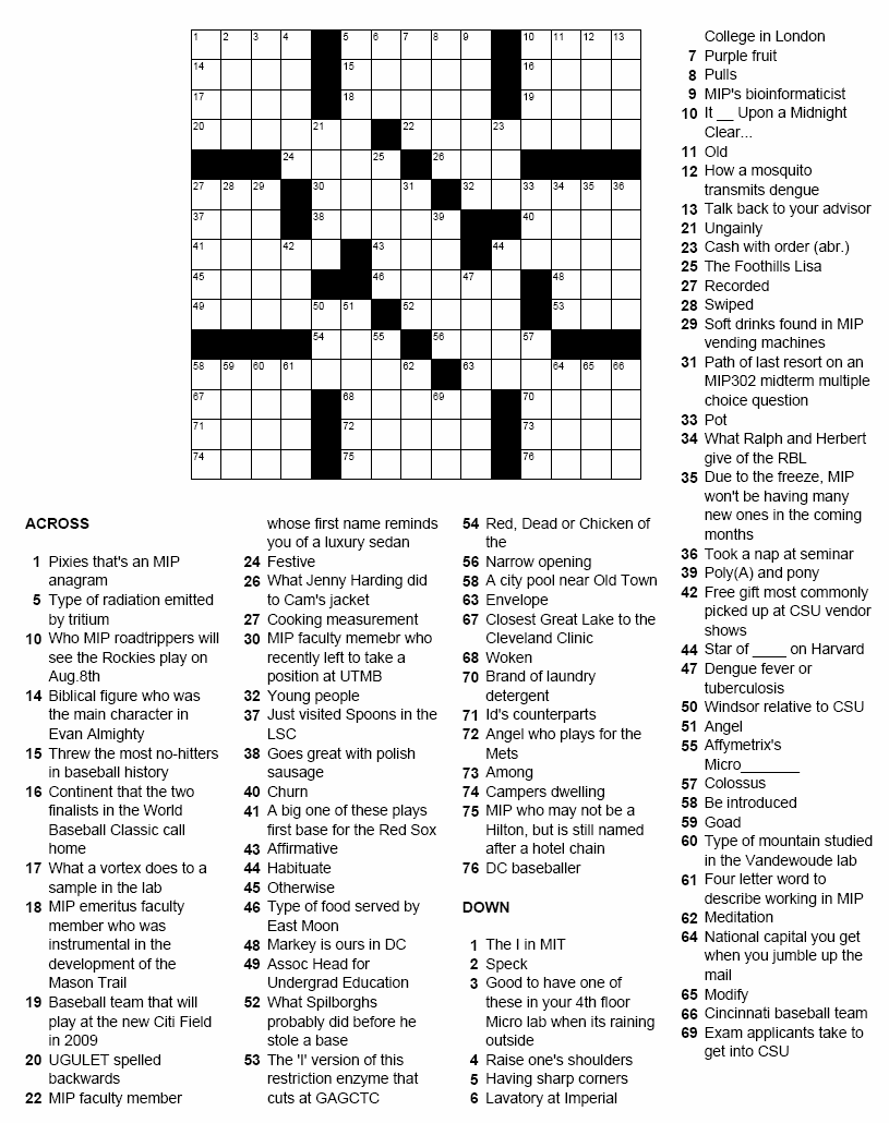 MIPuzzle 41