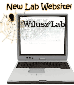 New Wilusz2 Website