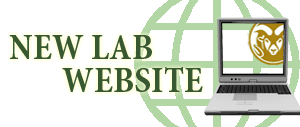 New Lab Website