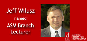Jeff Wilusz named ASM Branch Lecturer