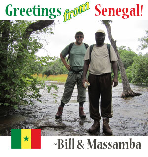 Bill and Massamba