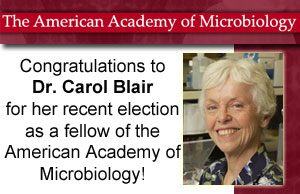 Carol Blair elected to AAM