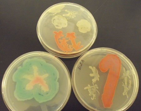 Microbial Art