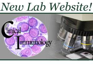 New Lab Website