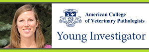 ACVP Young Investigator Award