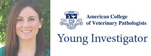 Lauren Radakovich ACVP Young Investigator Award