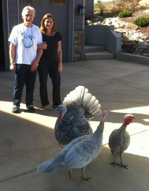 Ed Hoover, Sue VandeWoude, and Turkeys