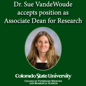Dr. Sue VandeWoude