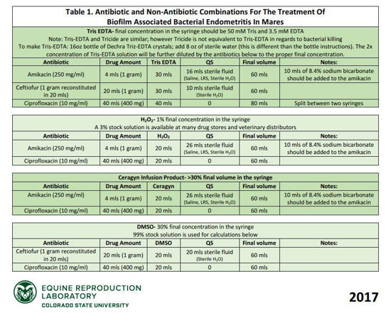 Picture of Biofilm Therapy Poster