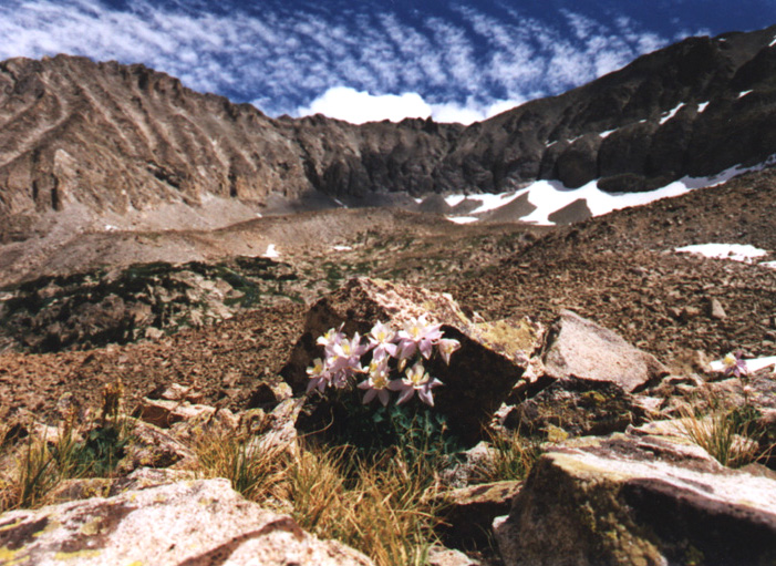 Description: Description: Description: W:\WebAuth-Prod-Documents\www\microbiology\rmbasm\agnes3.jpg