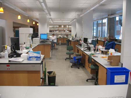 13-DMC-ClinPathLab-1