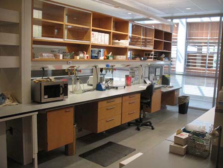 29-DMC-Lab2