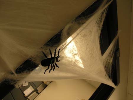 spider-2