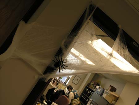spider